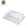 Disposable Plastic Sushi Plate/tray Clear Rectangle Tray